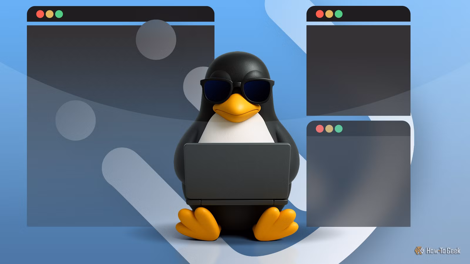 Why Fish Shell Beats Bash for New Programmers