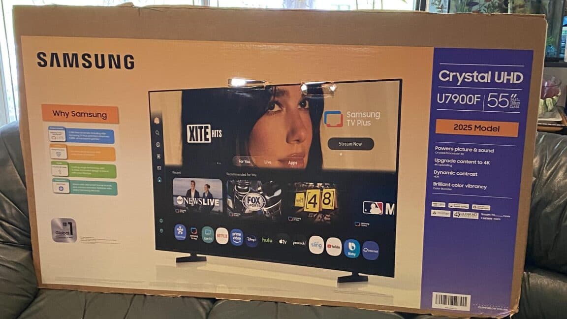 Dua Lipa Sues Samsung for $15M Over Unauthorized TV Box Photo