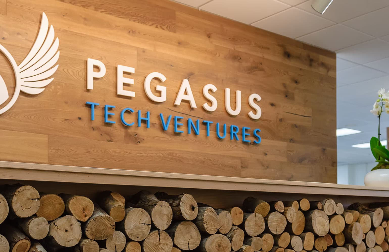 Pegasus and CYBERDYNE launch $60M fund for physical AI