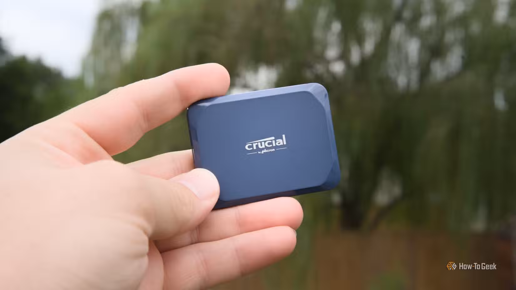A hand holding the Crucial X10 portable SSD with a weeping willow tree in the background.