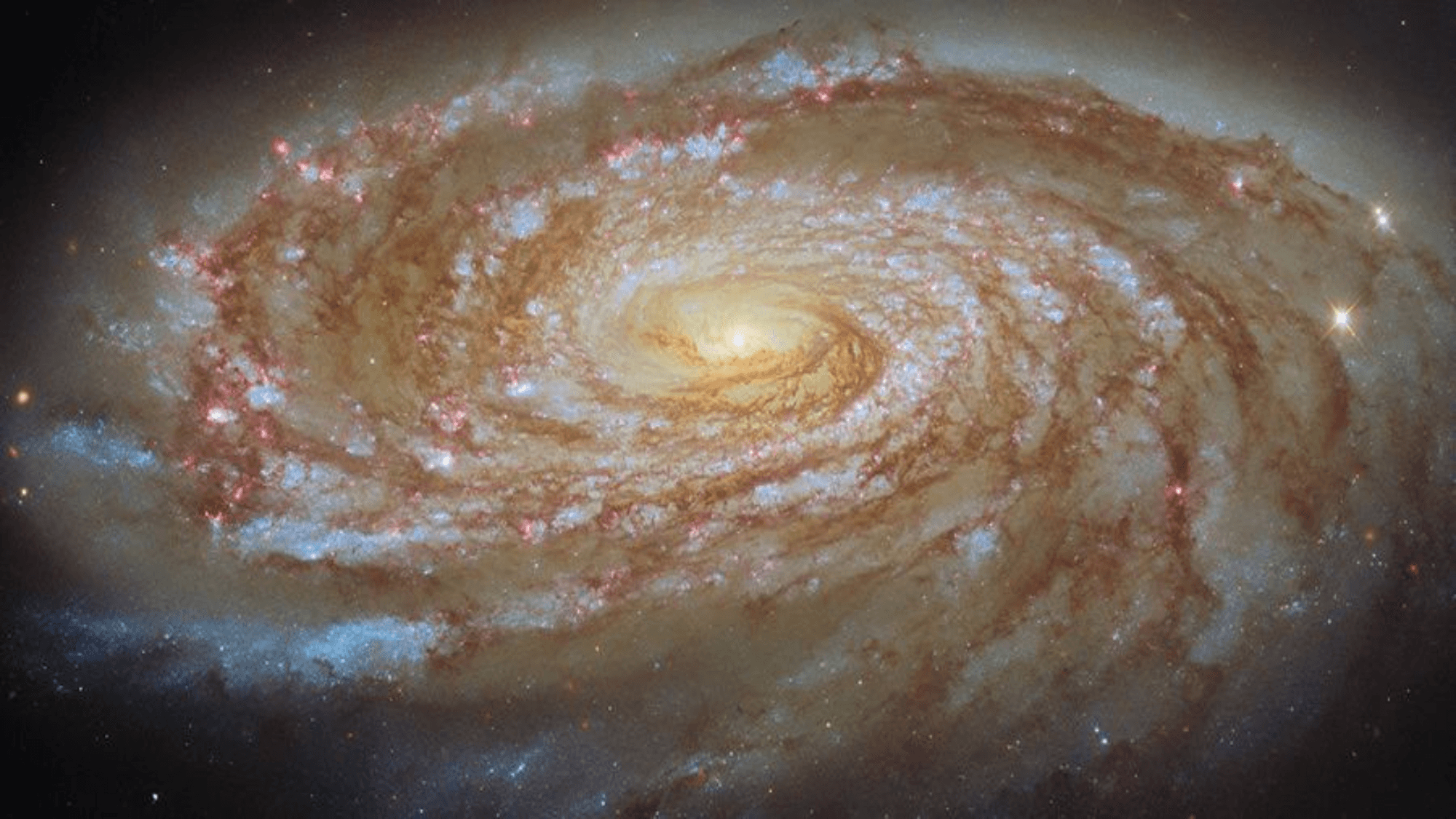 A swirling galaxy has swirls of light blue, red, brown, and speckles of stars.