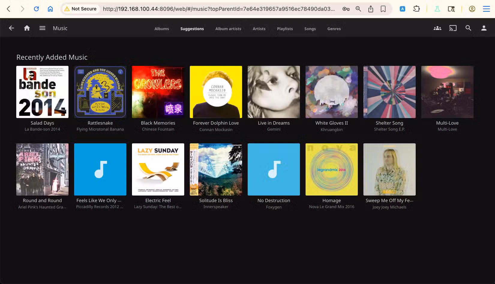 Jellyfin correctly indexed the music tagged by MusicBrainz Picard.