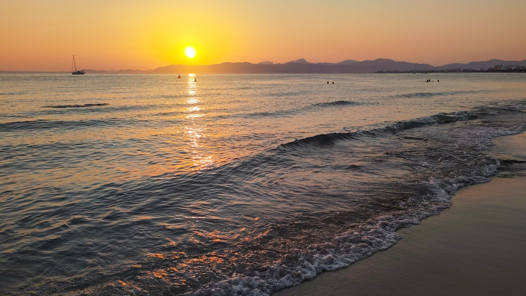 a golden sunset on a large beach, looking out to the water.