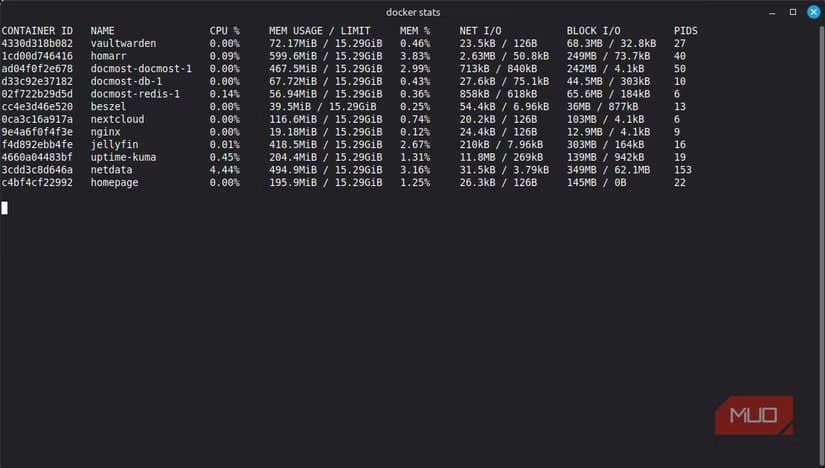 Docker stats showing memory usage for running containers