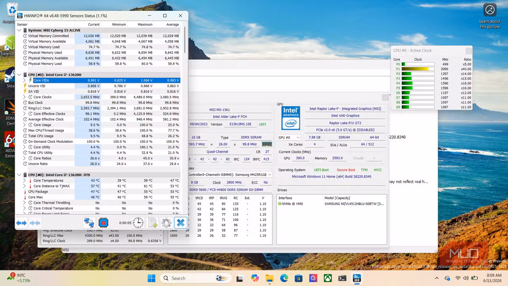 hwinfo64 on pc