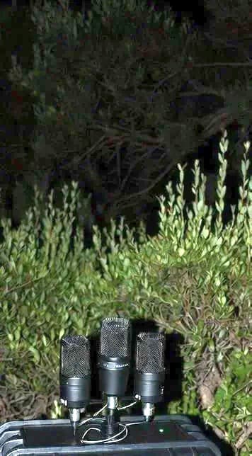 A photograph of microphones that were apparently confiscated after use outside Rockstar HQ.
