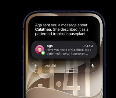 Static of Siri AI in use in Dynamic Island in iPhone 17 Pro
