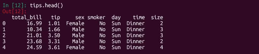 Examining tips data using "tips.head()" in Python.