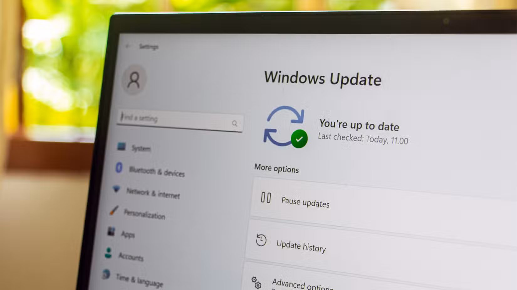 Windows 11 Update in the Settings app