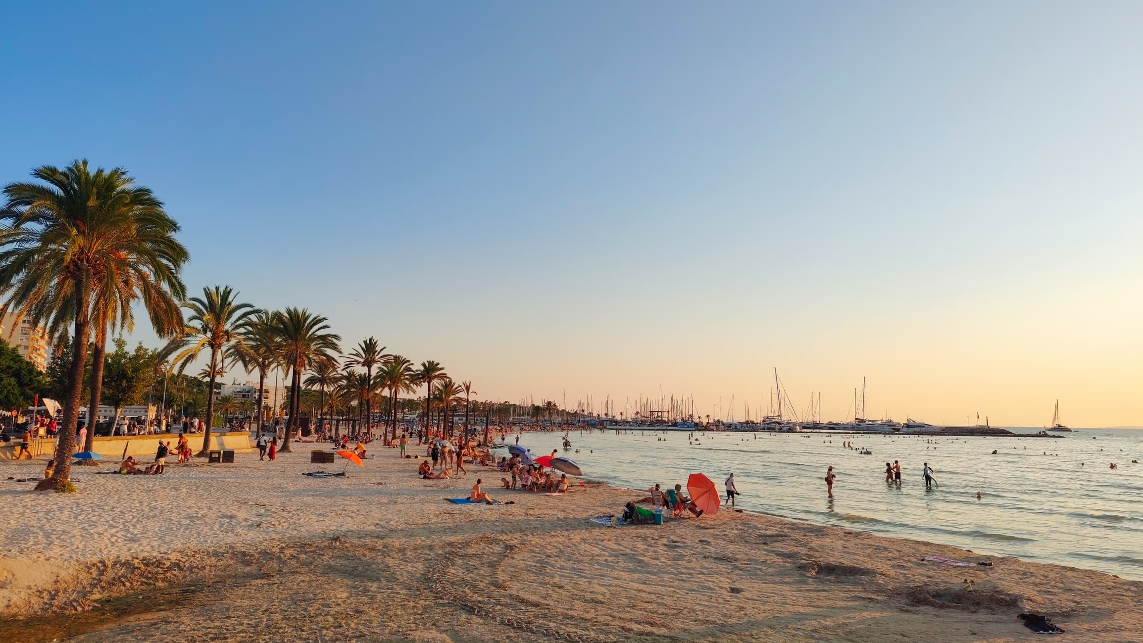 sandy beach lined with palm trees with lots of people sitting enjoying bathing in the golden glow of sunset