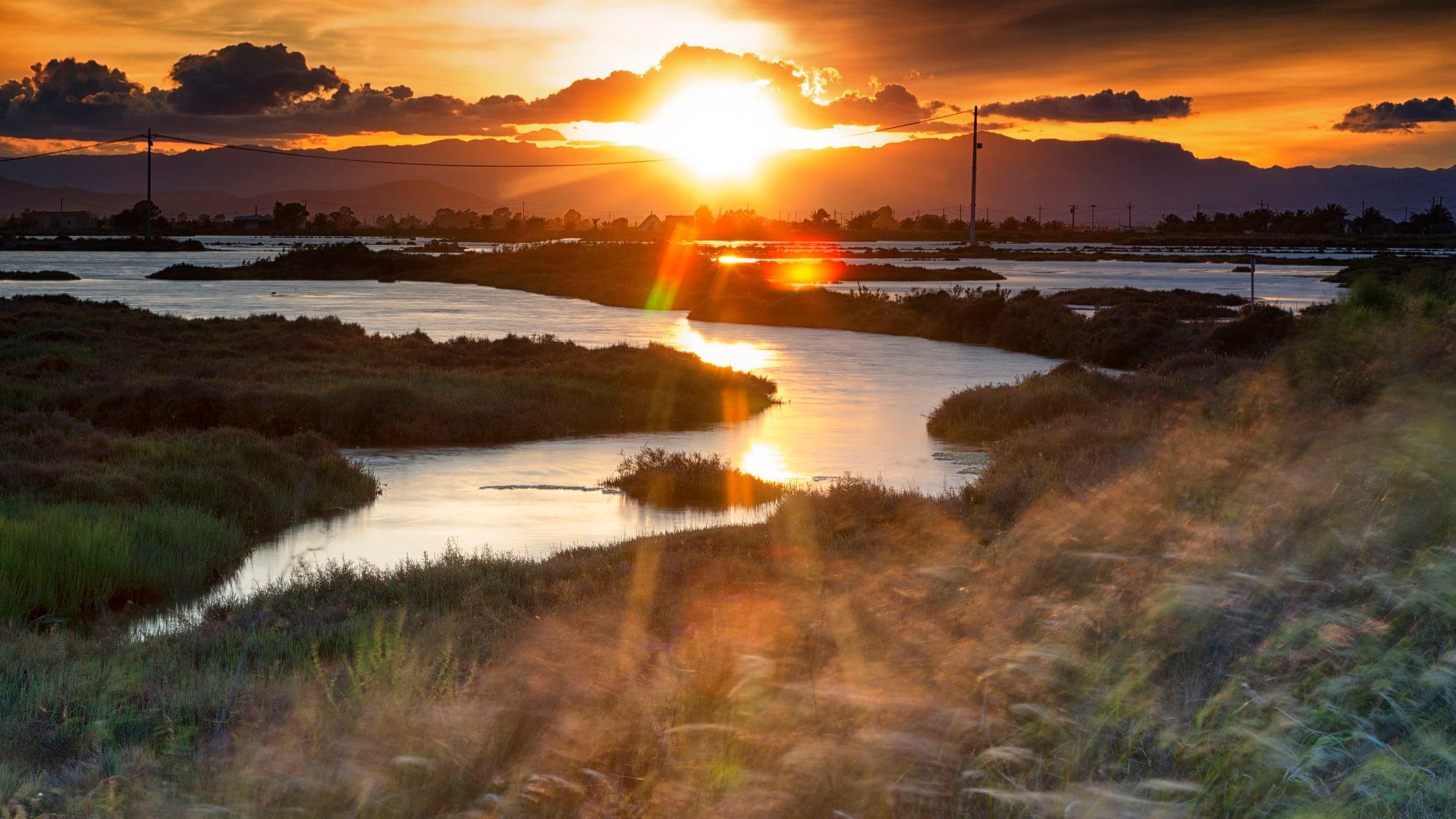 golden light of the sun bathes the landscape showing water snaking through a grassy landscape
