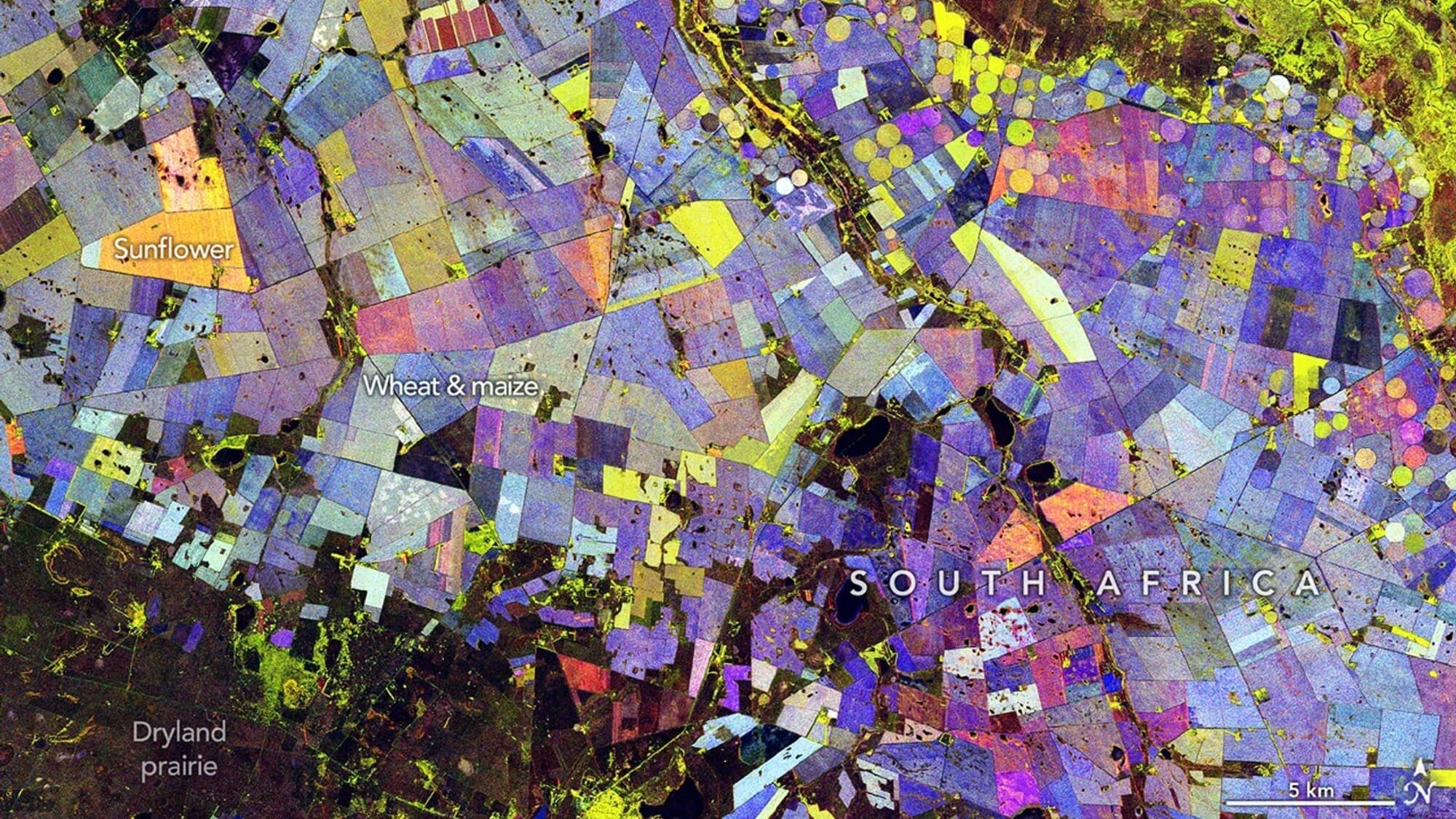 A variety of colors ranging from bright yellow to purple in blocks overlaid on top of a map of South Africa.