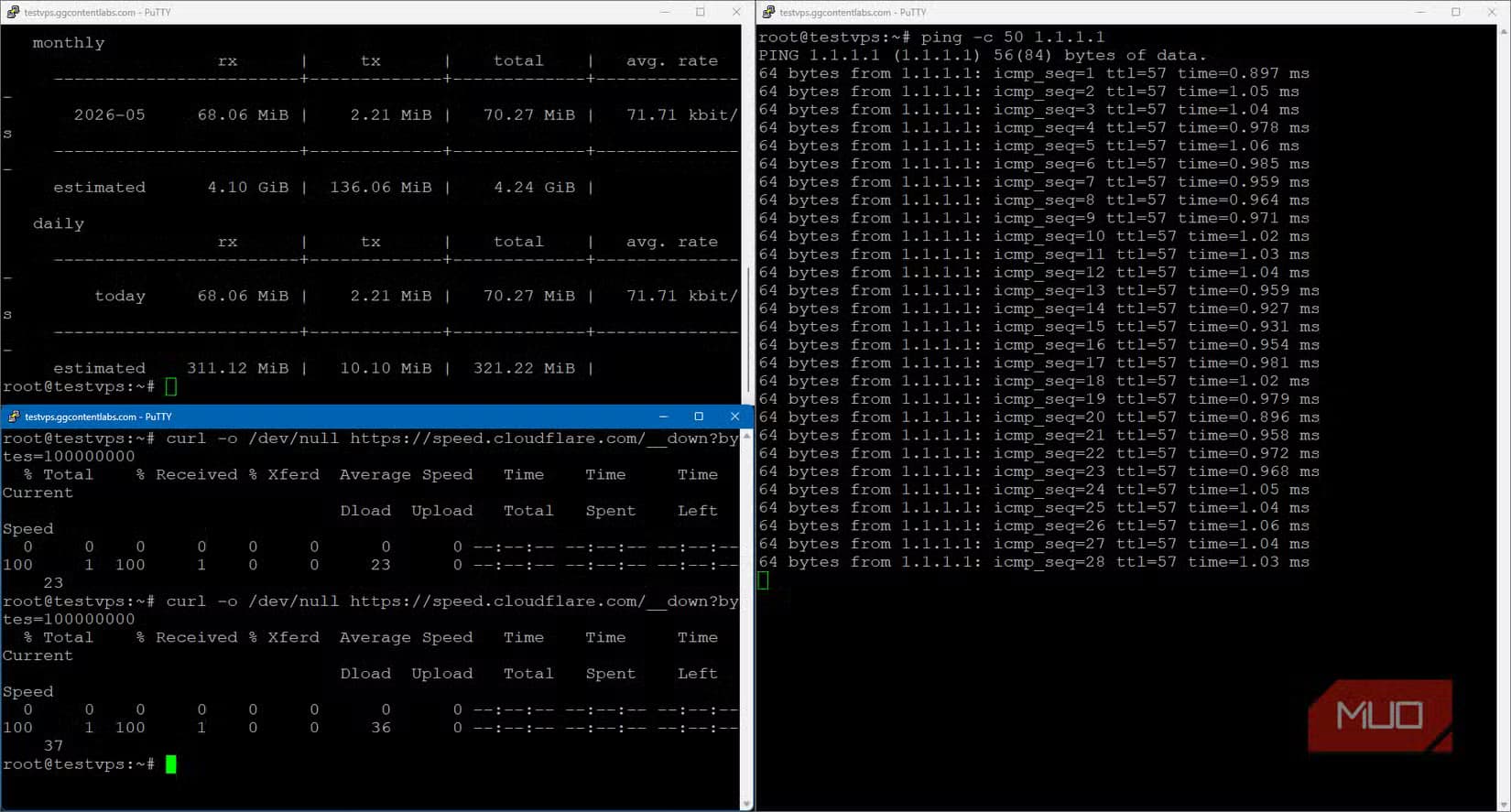 VPS network consistency testing with ping and vnstat