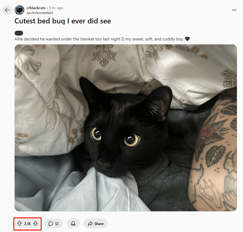 The up and down arrows under a post, which give people karma on Reddit