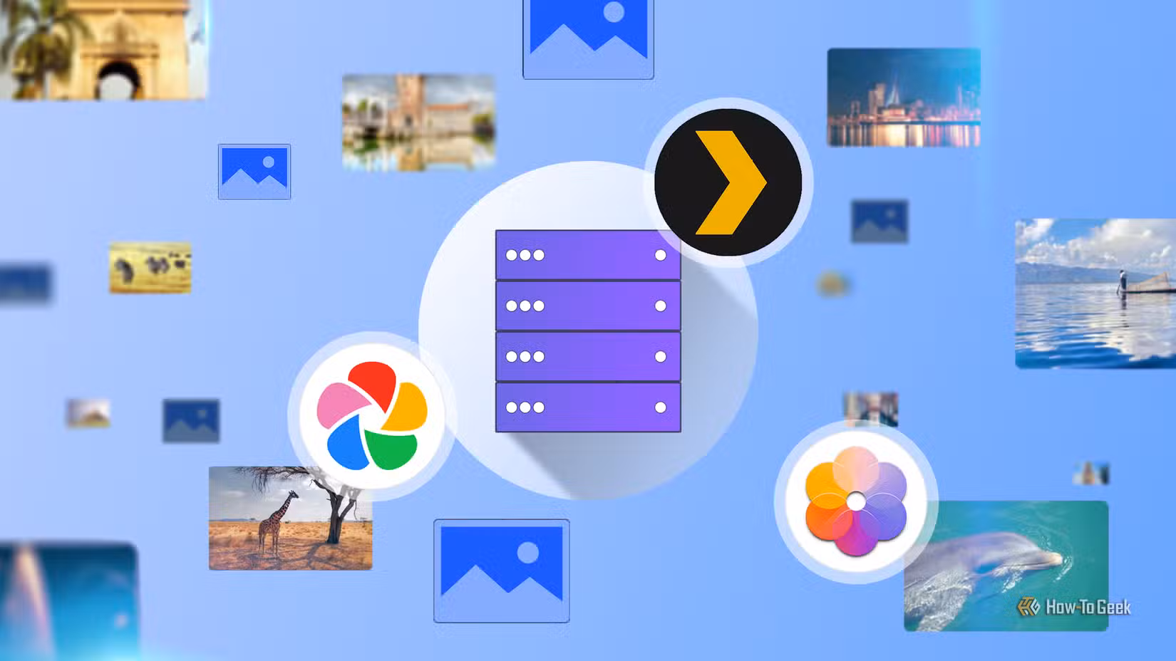 Illustration showing a server icon surrounded by the logos of Plex, Immich, and Synology Photos, with photo thumbnails of landscapes, animals, and cityscapes floating around it.