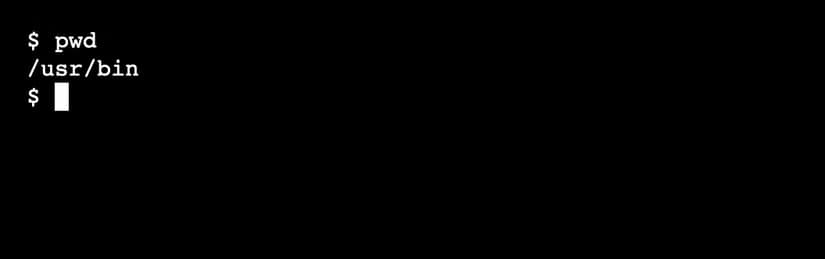 The linux pwd command run with no operands.