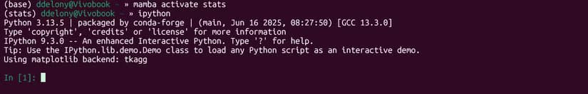 Activate the Mamba stats environment and starting up IPython in the Linux terminal.