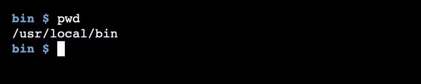 The linux pwd command showing the current directory is "/usr/local/bin."