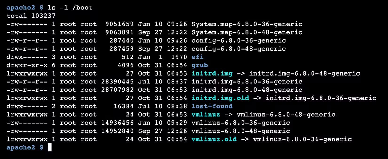 The ls command showing a list of files, one per line, each with metadata like permissions, owner, and modification date.