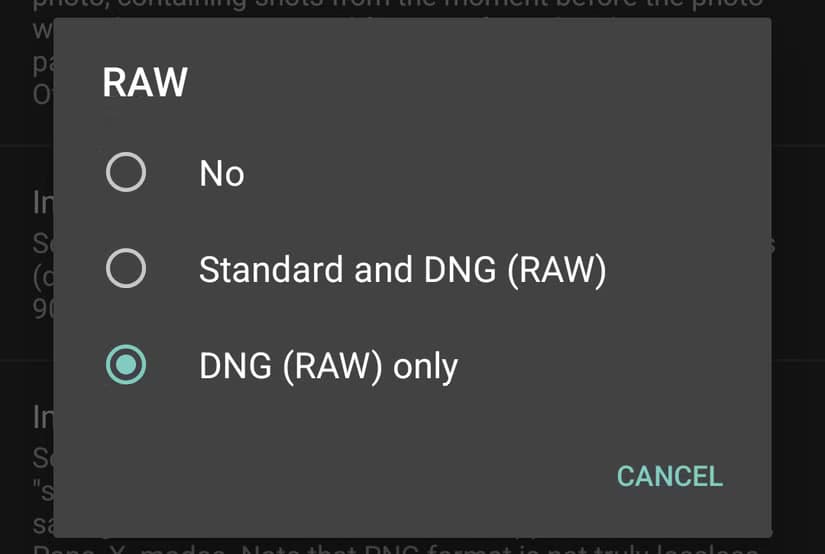 Open Camera RAW options.