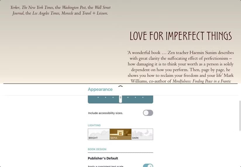 Libby ebook reader with display settings panel showing font and theme options.