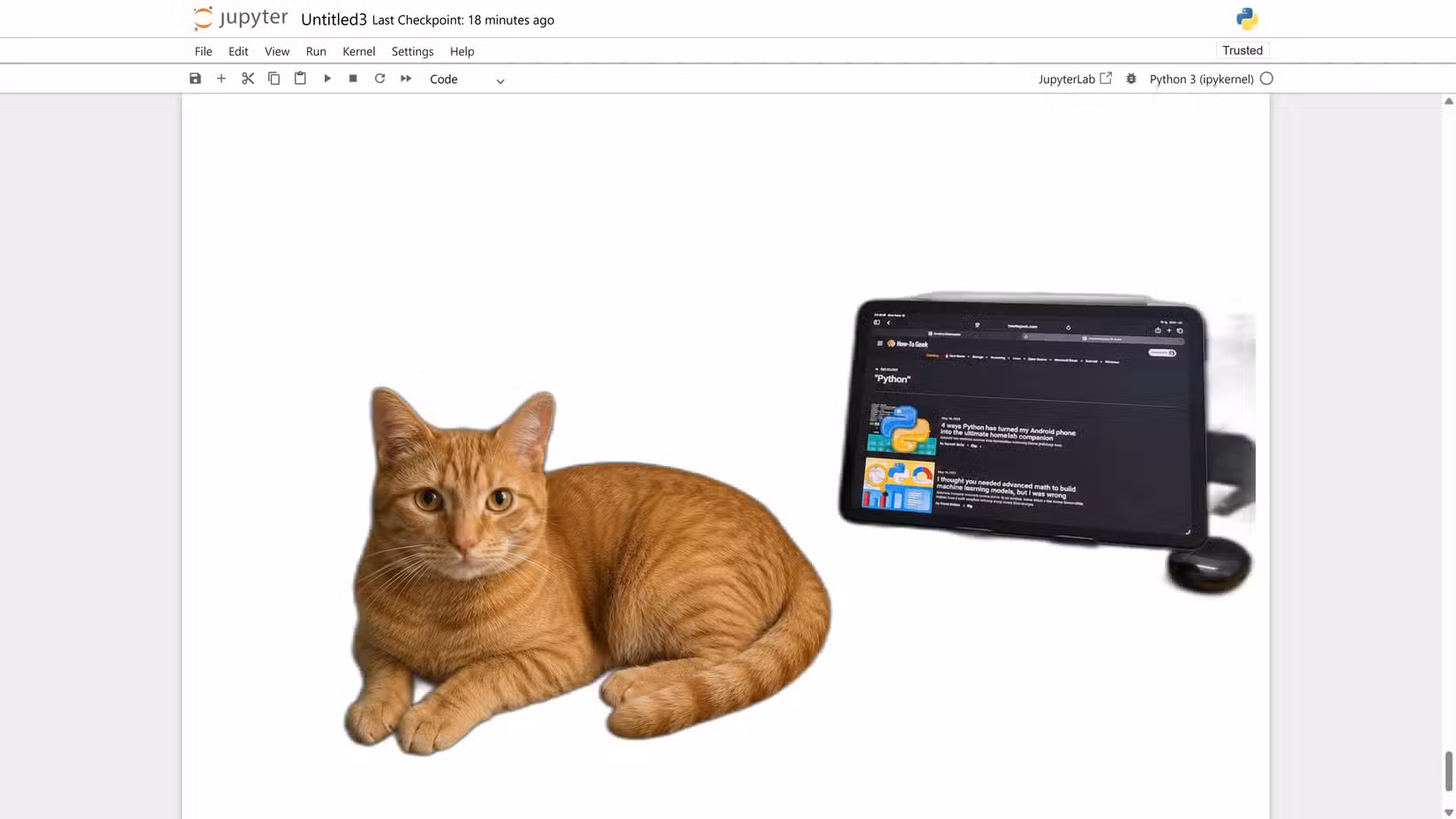 rembg background removal result showing the cat and tablet isolated on a white background.