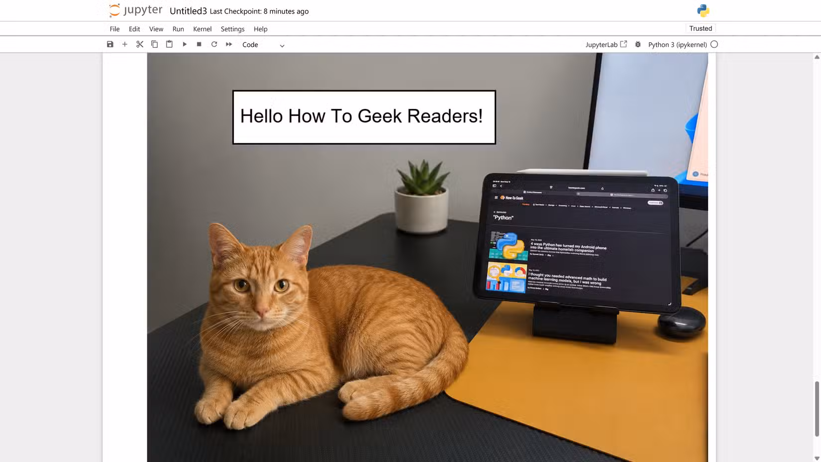 Pillow ImageDraw text annotation adding a Hello How To Geek Readers box to the cat photo.
