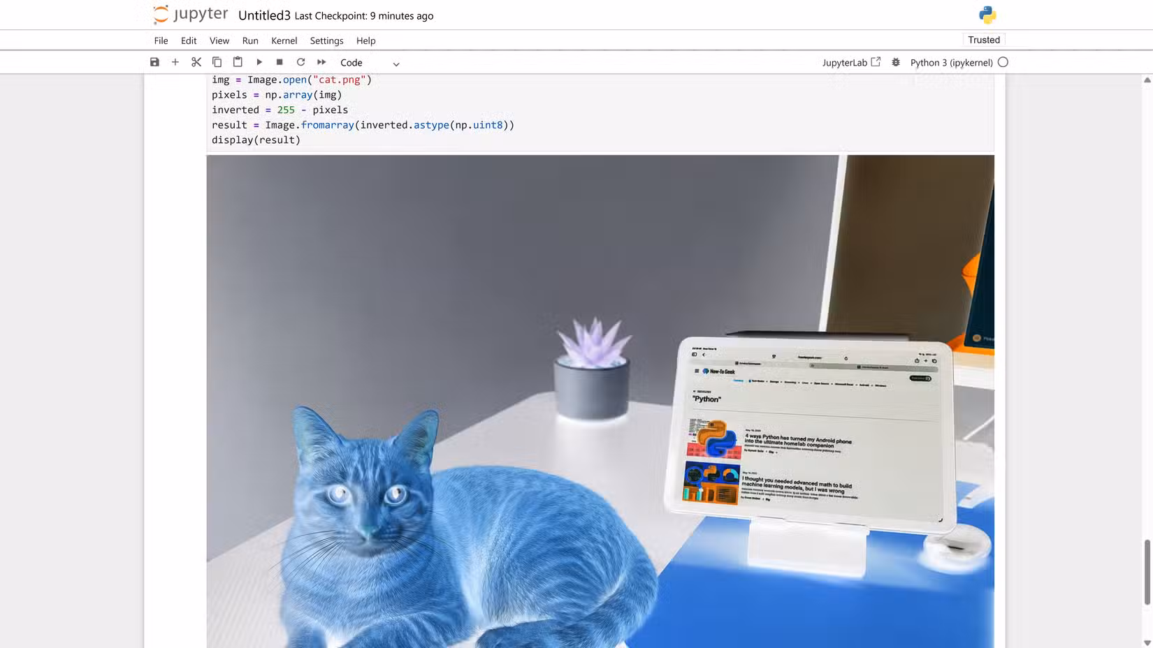 NumPy pixel inversion in Jupyter showing the cat photo as a color negative.