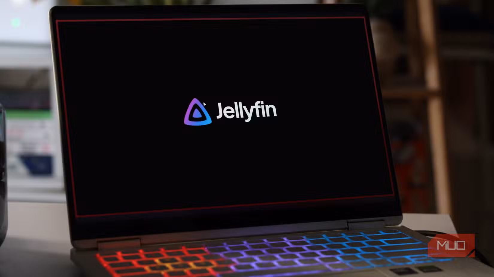 Jellyfin running on Windows 11 laptop.