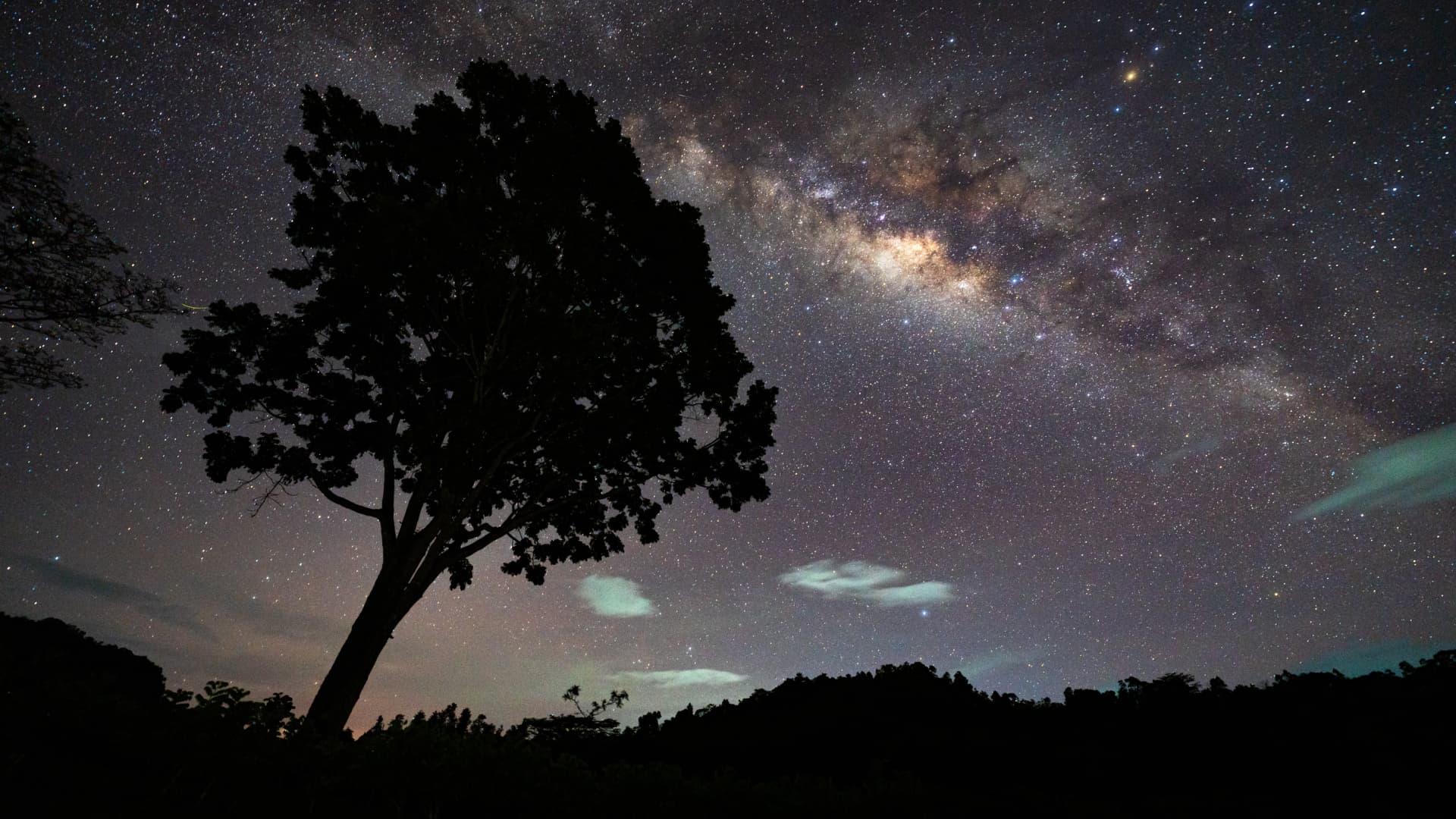The Milky Way streaks diagonally across a starry sky at night, with the silhouette of a tree standing over a leafy silhouetted horizon.