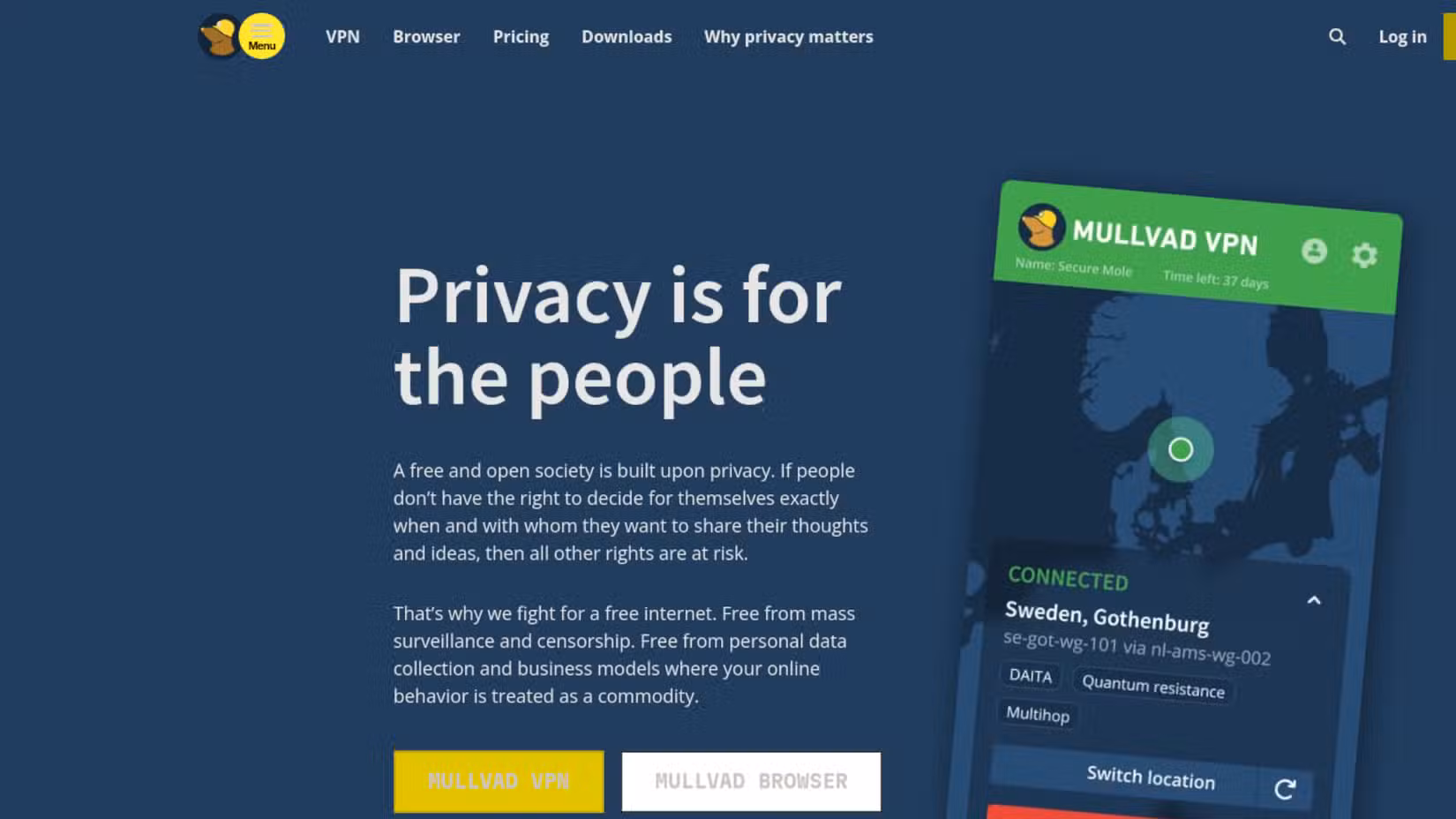 Screenshot of the Mullvad VPN homepage.
