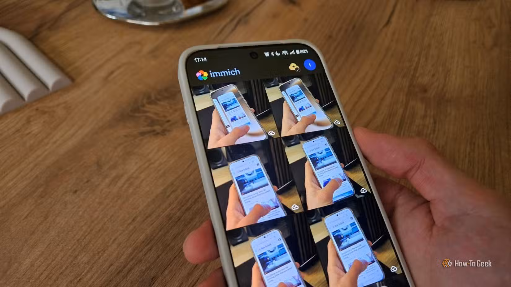 Immich running on an Android phone.