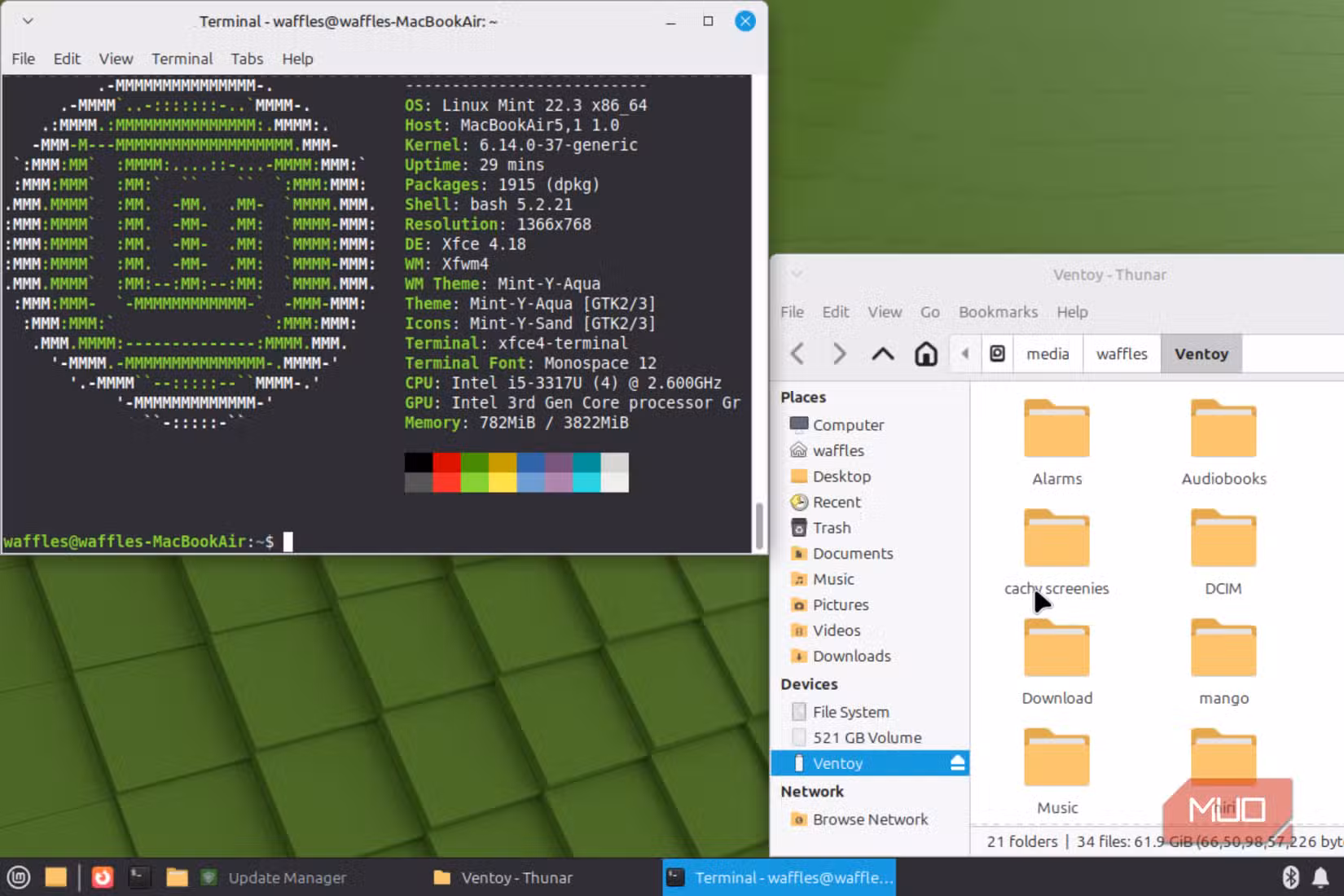 Running Neofetch in Mint