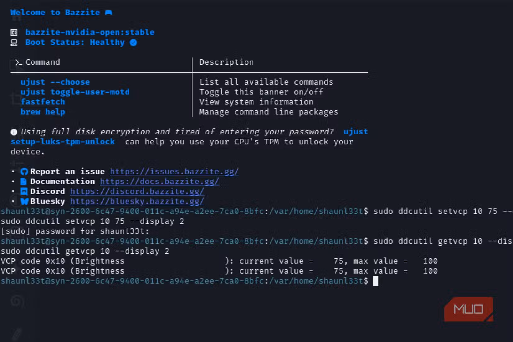 ddcutil terminal