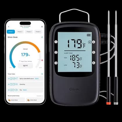 Govee Wi-Fi Thermo
