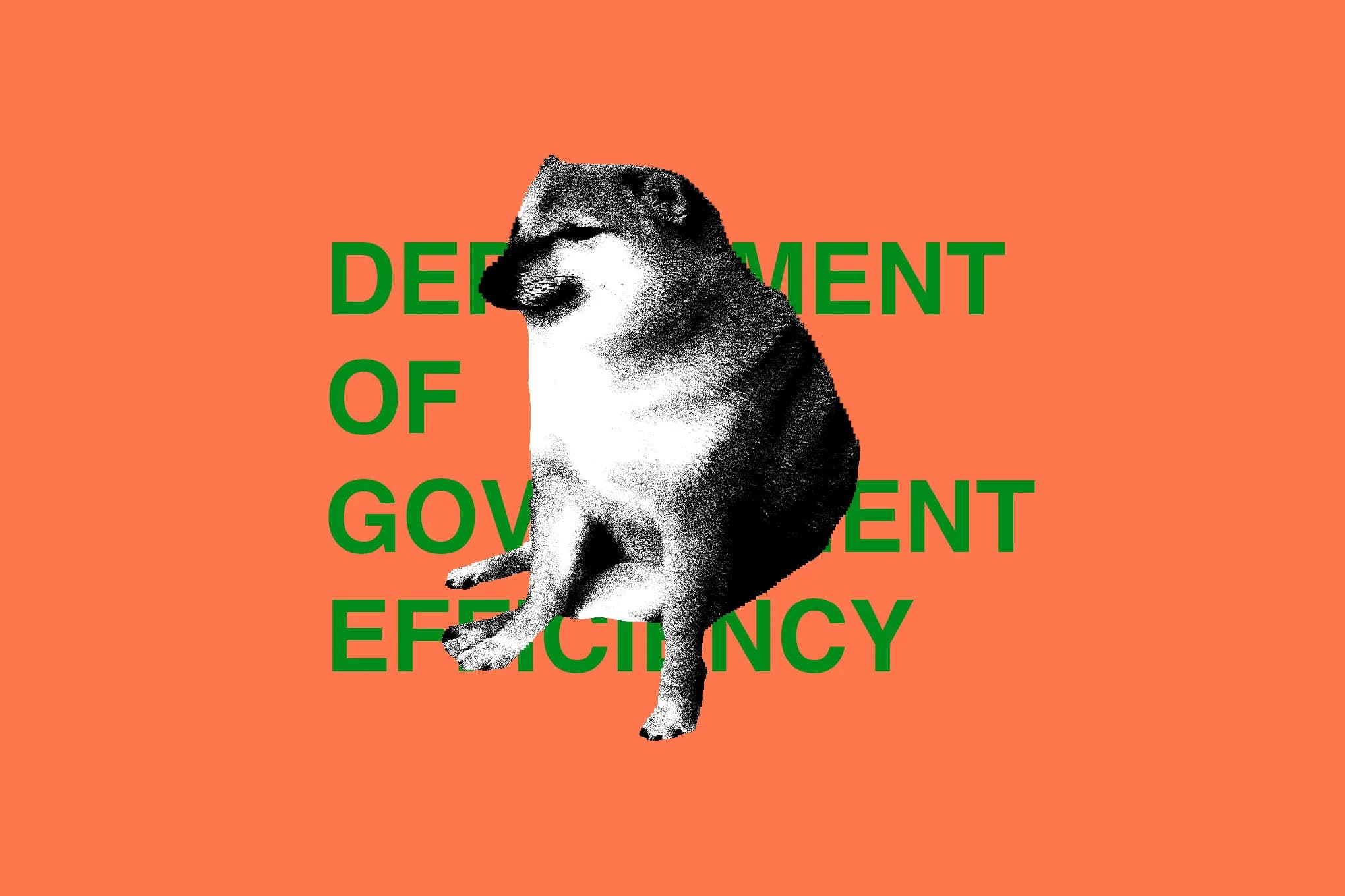 STKS486_DOGE_DEPARTMENT_2_E