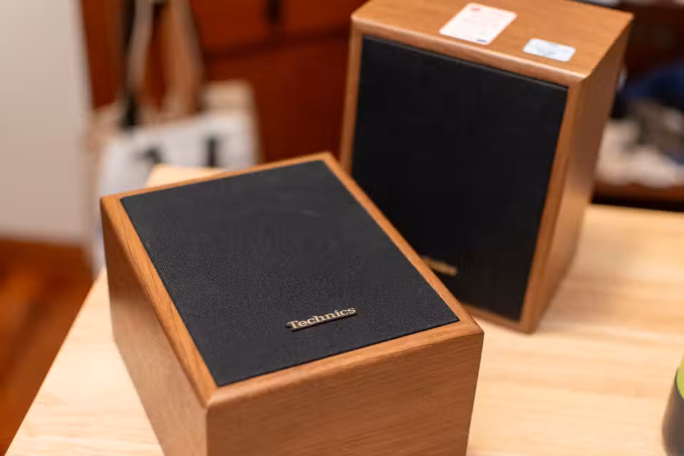 A pair of Technics passive speakers.