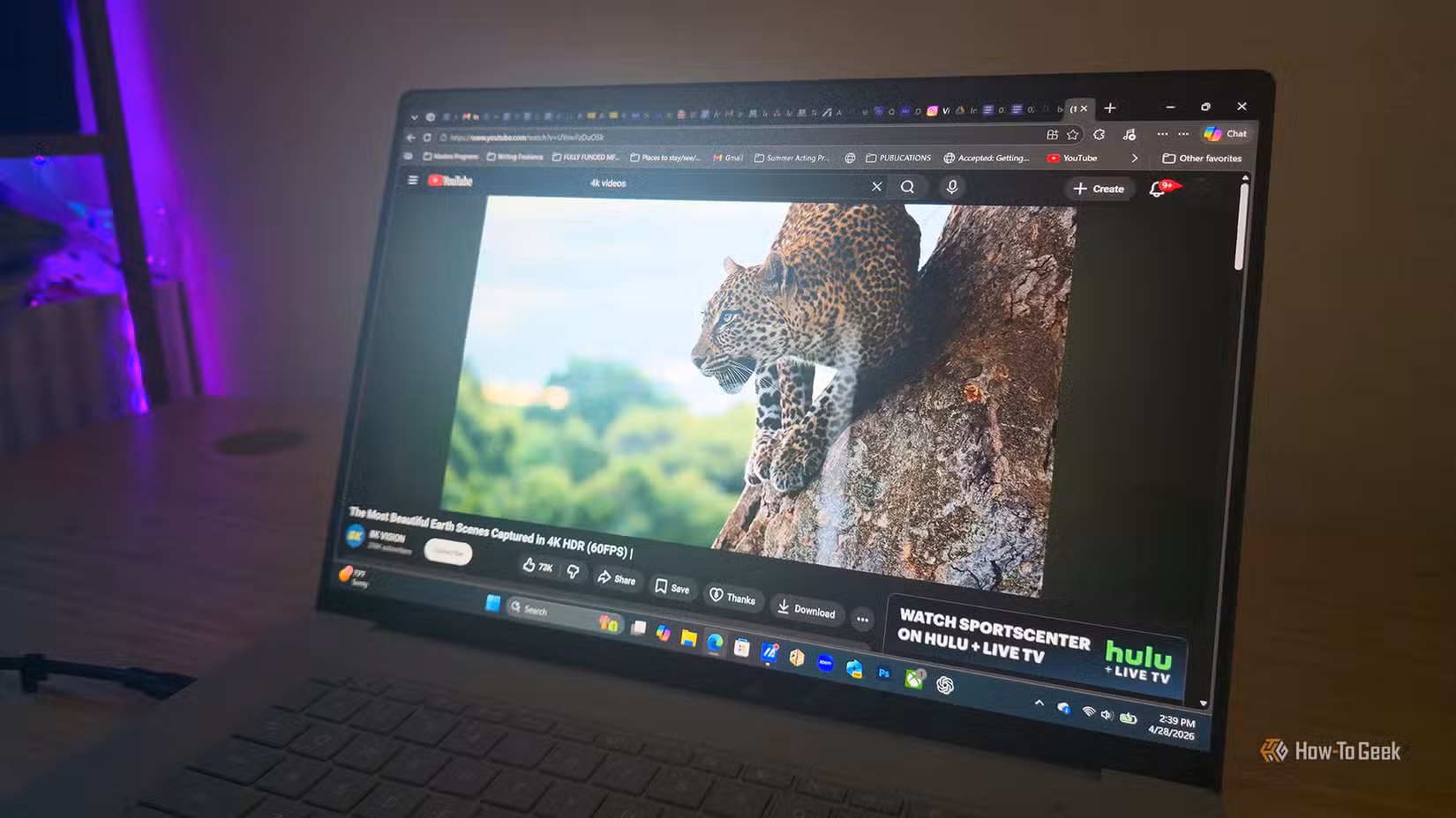 A YouTube video of a leopard playing on the ASUS Zenbook A16 (2026) laptop.