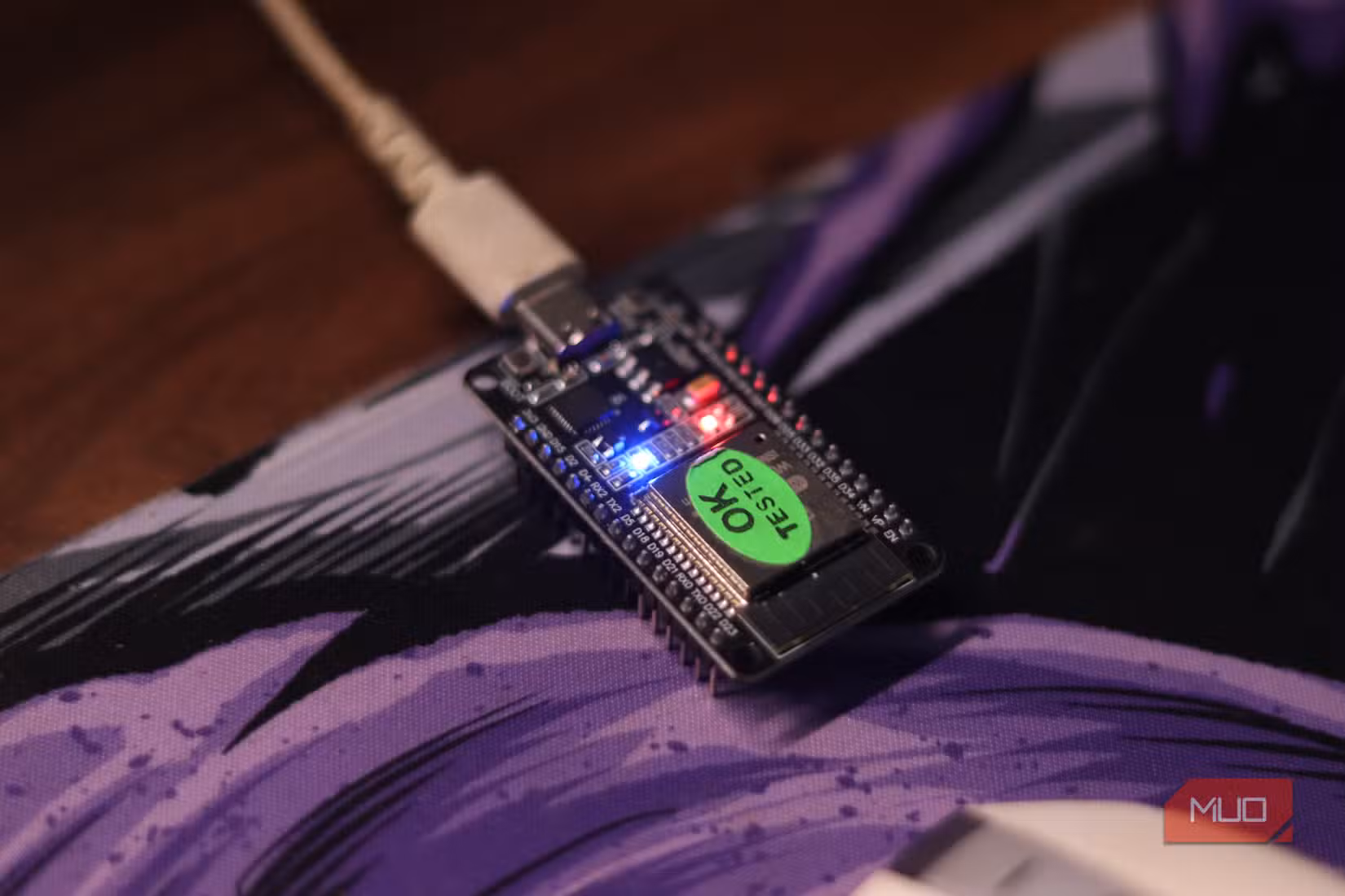 ESP32 with both LEDs on.