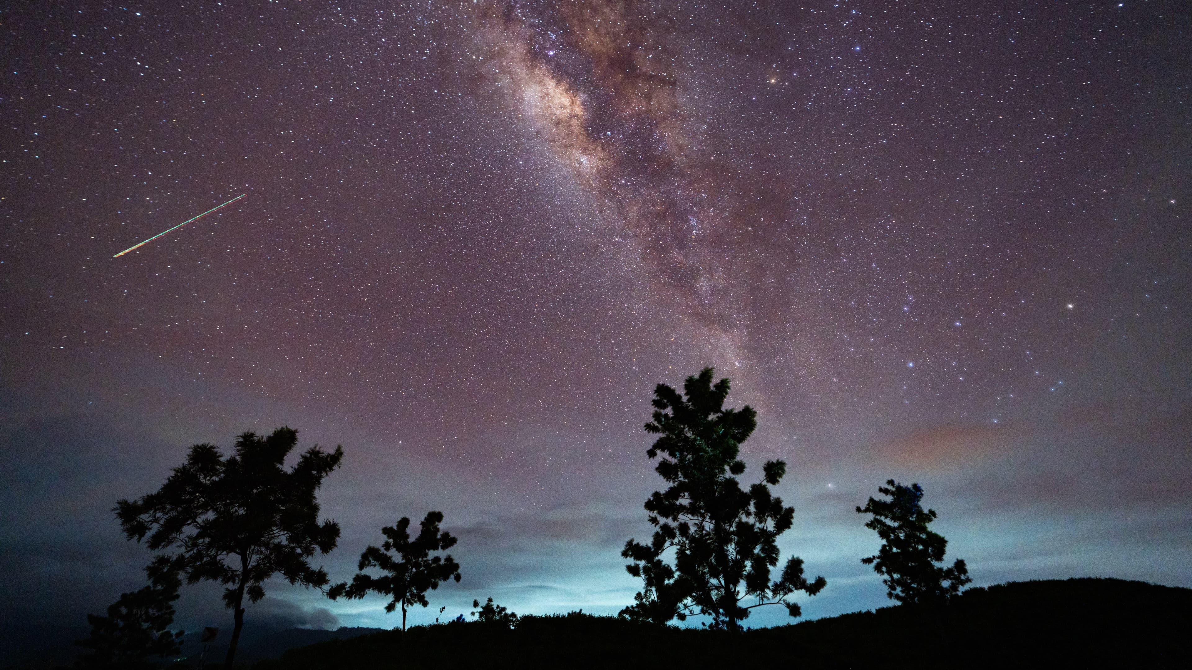 A lone meteor is pictured streaking through a starry sky above the silhouettes of trees, as the glowing ribbon of the Milky Way arcs overhead.
