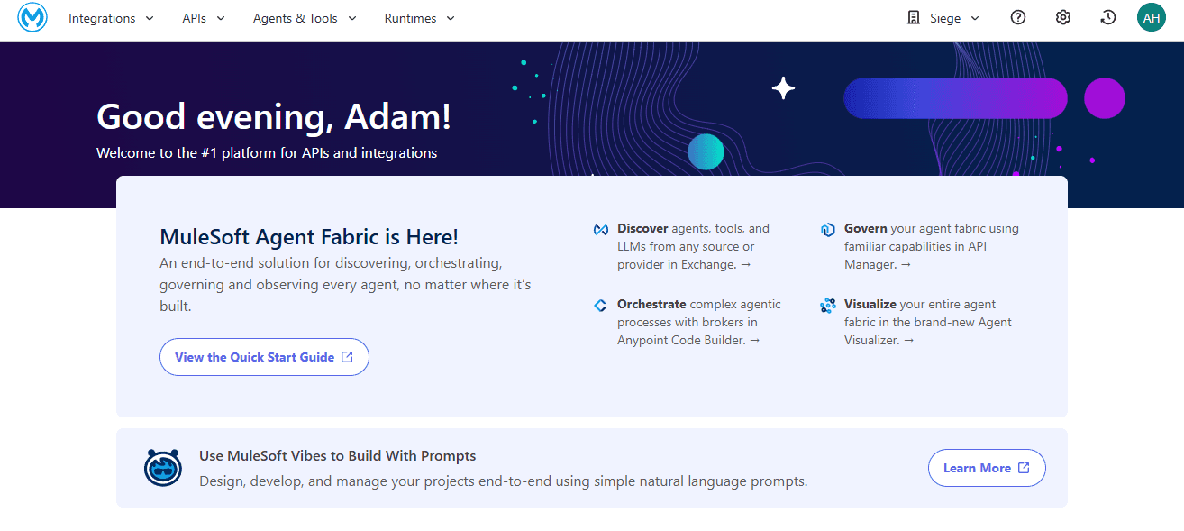 A screenshot from the MuleSoft platform showing the logged in welcome page