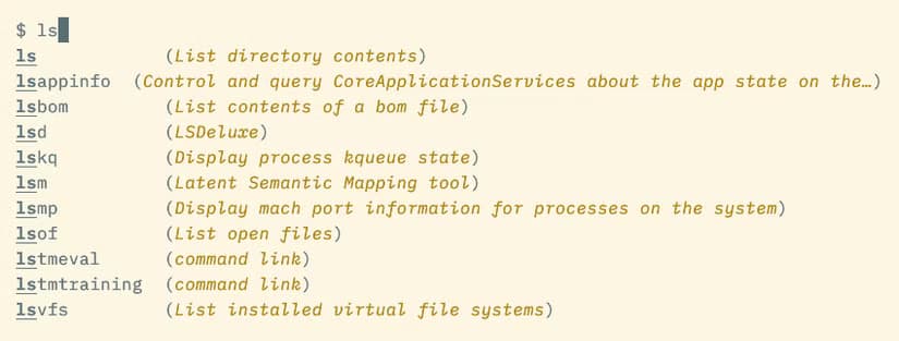 The ls command followed by several rows of commands beginning with "ls"—like lsappinfo and lsm. Each command has a brief description alongside it.
