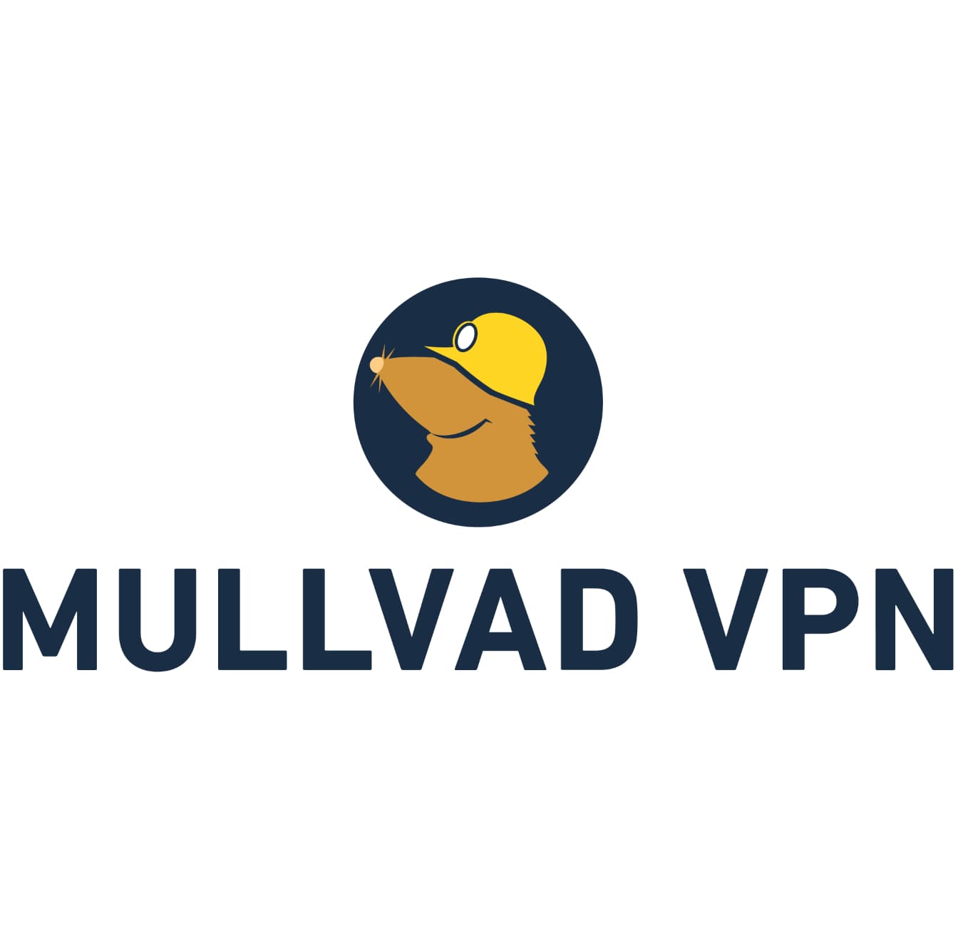 Mullvad VPN logo