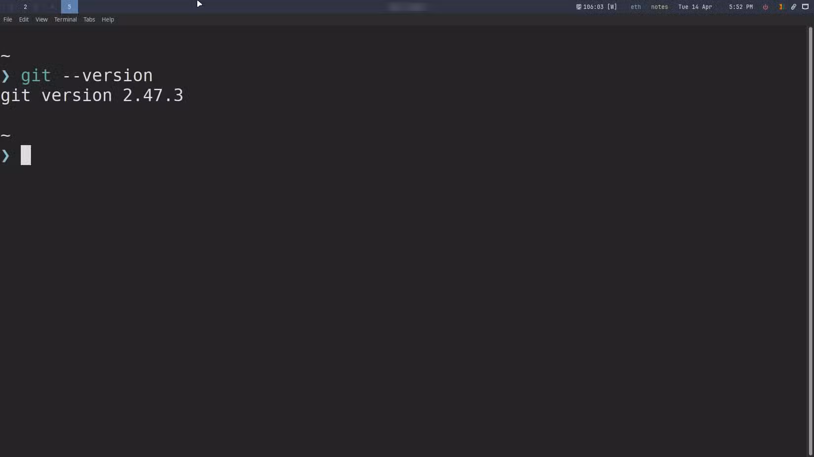 Looking up the Git version inside a terminal.