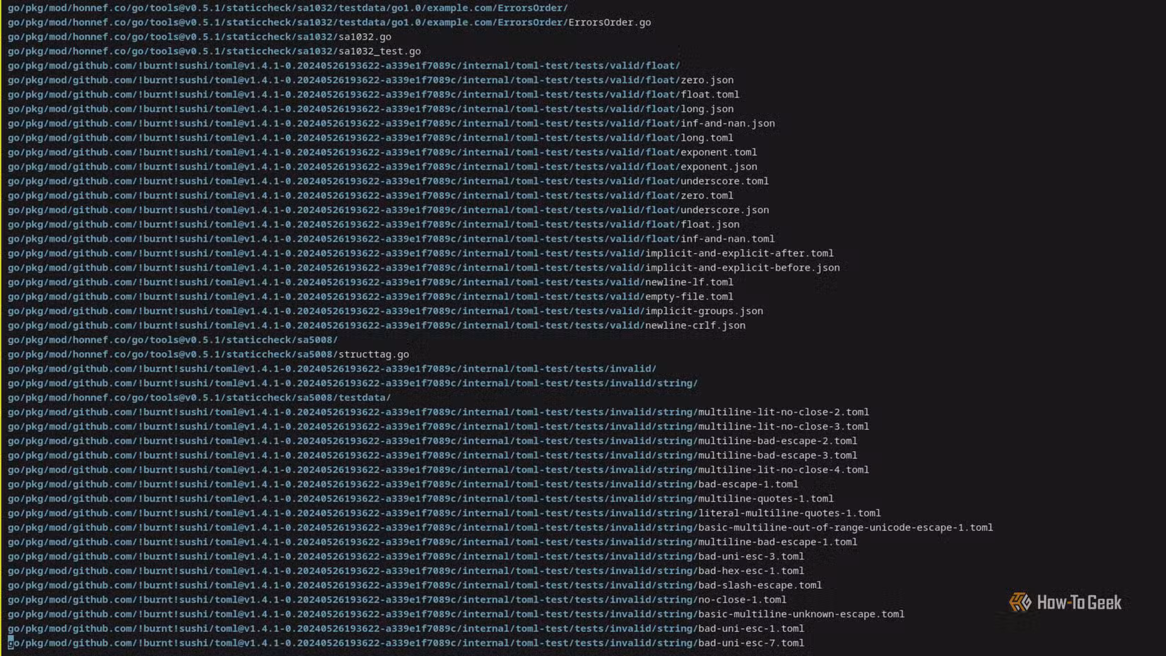 A terminal window displays dozens of file paths. These are search results for the fd command.