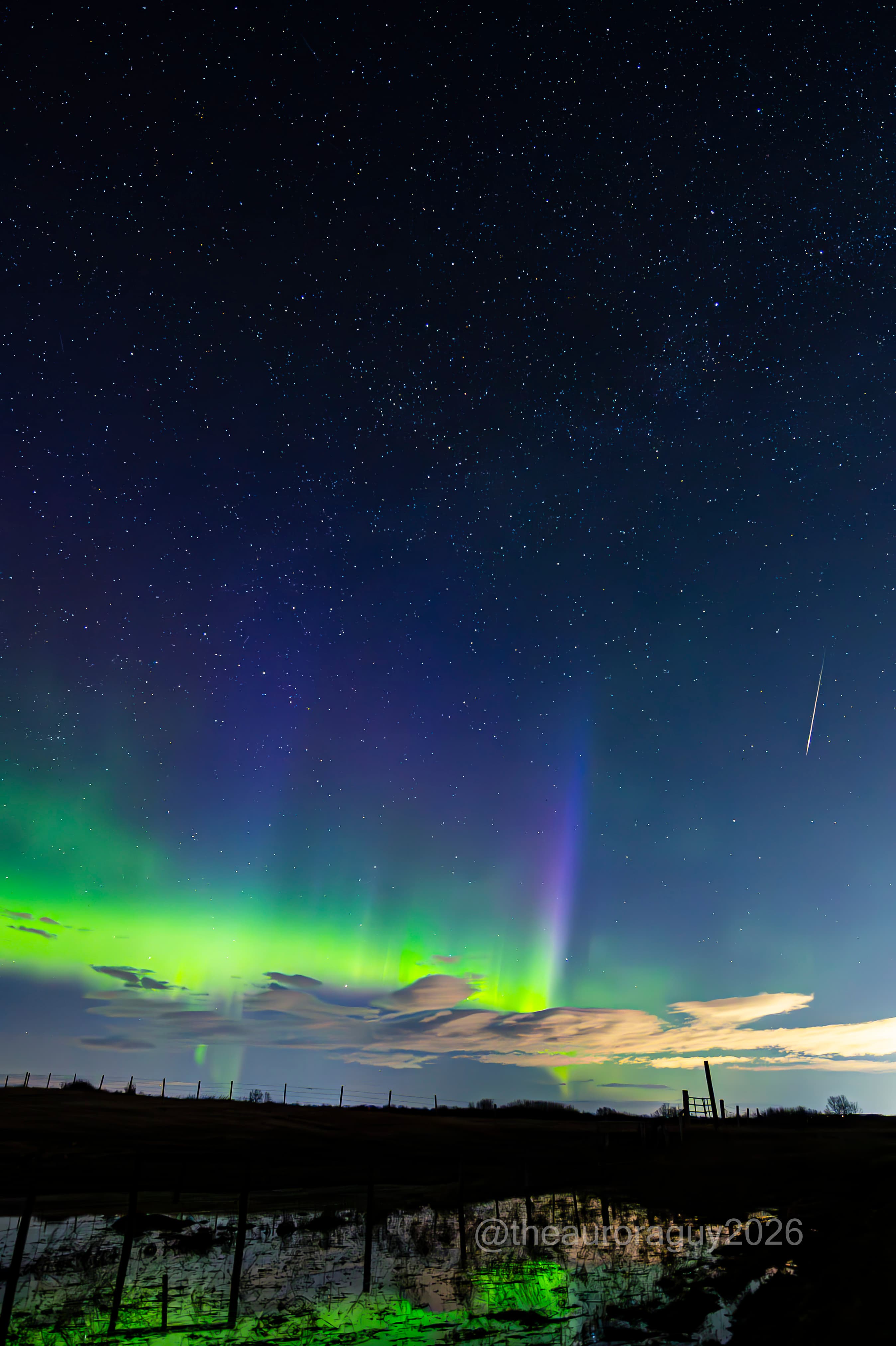 Bright green and blue aurora are photographed shining above a pond in a dark field at night as a meteor streaks earthward to the right of the photo.