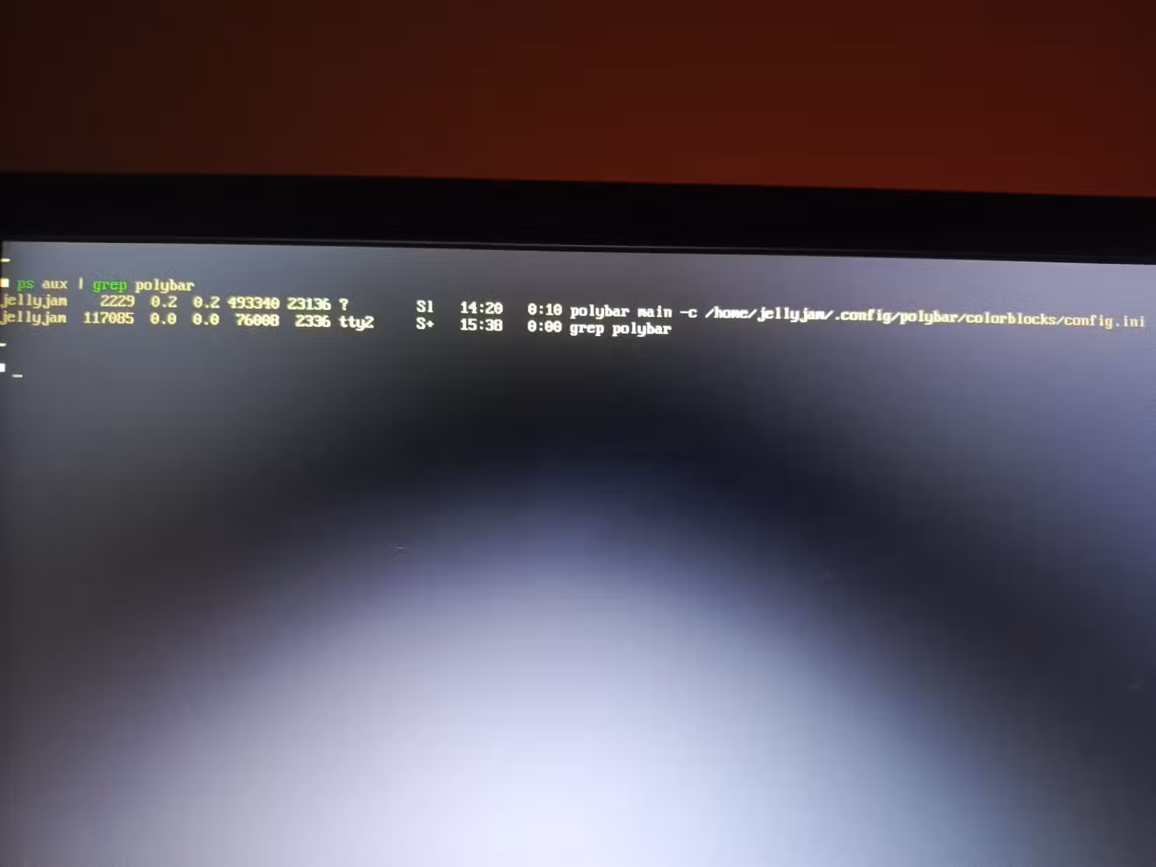 Two lines of output indicate a running process.