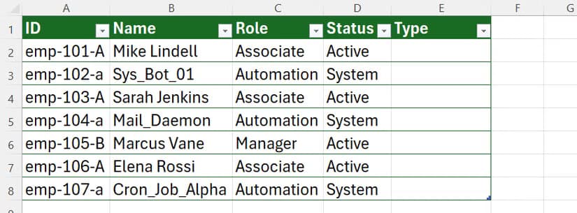 An Excel table with IDs in column A, names in column B, roles in column C, statuses in column D, and a blank Type column in column E.