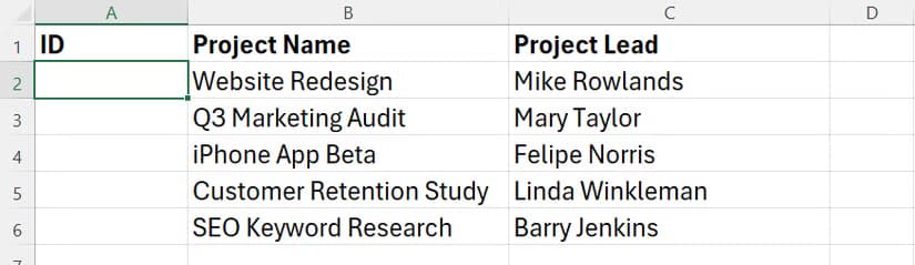 An Excel dataset with project names in column B, project leads in column C, and a blank column in column A for project IDs.
