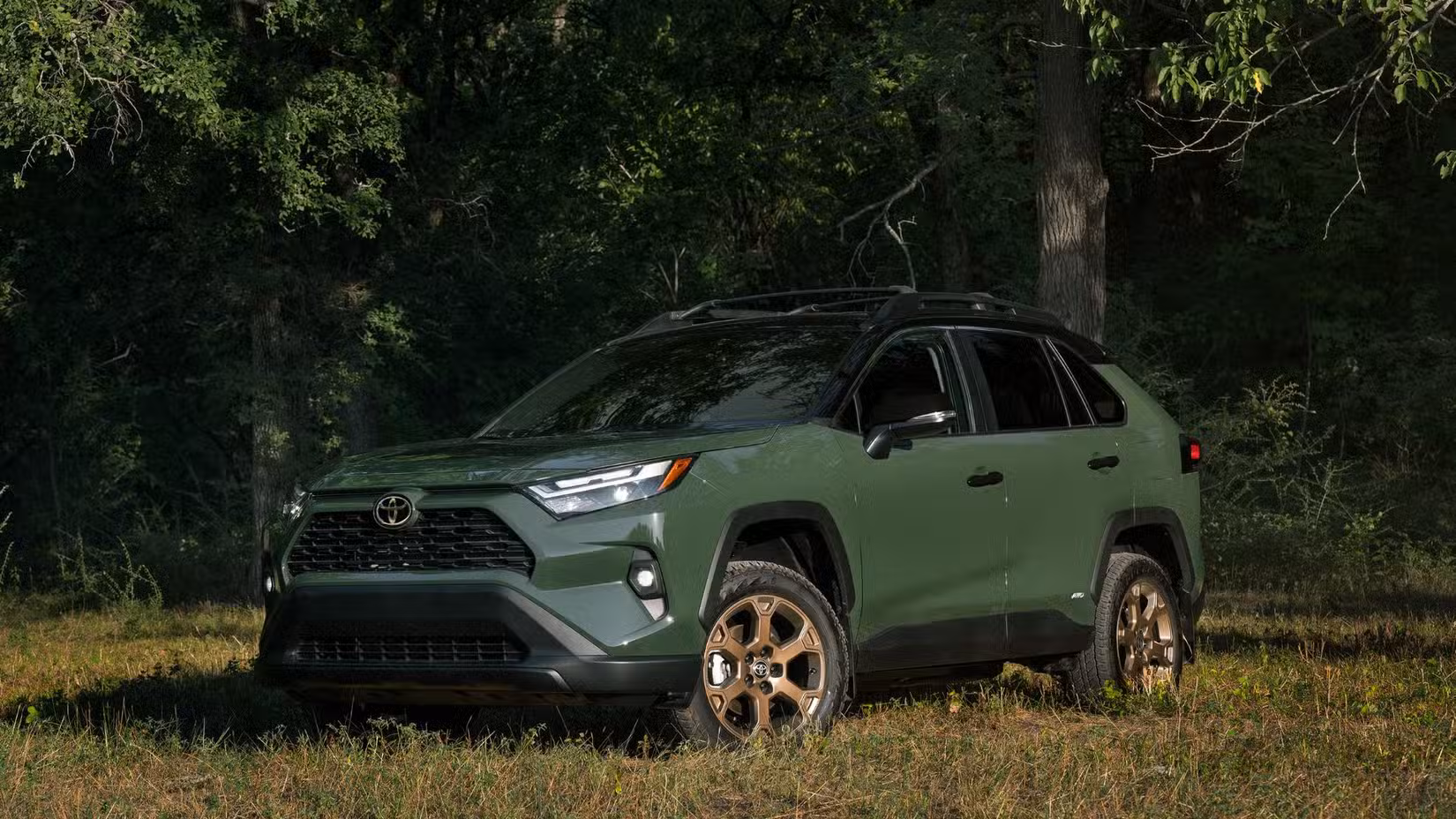 Army green 2025 Toyota RAV4 Hybrid parked on grass with trees in background.